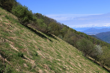 Fototapeta na wymiar monte Bolettone