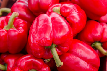 Red capsicum close up
