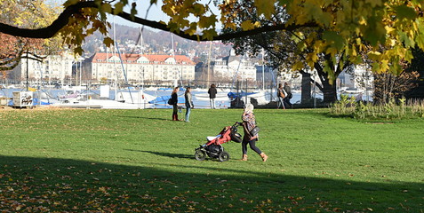 Obraz premium jardin public