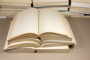 Blank book pages