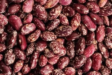 Raw whole colorful beans pattern
