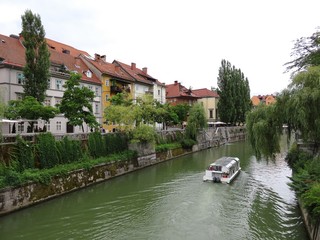 Naklejka premium ljubljana