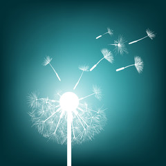 Glowing dandelion.