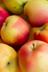 Colorful apples on the counter