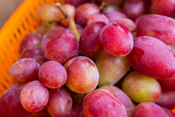 The grape clusters in basket
