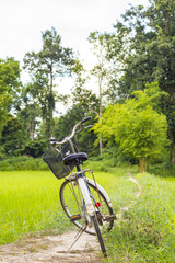 Fototapeta na wymiar bicycle on countryside way and natural