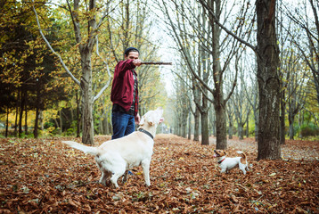 man playing with dogs in park. Caucasian man walking with dogs in autumn park
