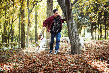 Fototapeta premium man playing with dogs in park. Caucasian man walking with dogs in autumn park
