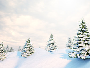 Snow covered pine trees. Winter landscape 