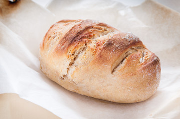 Homemade whole spelt flour bread made with sourdough