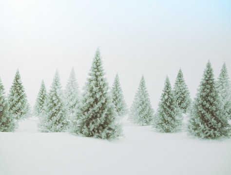 Winter scene with green pine trees and snow