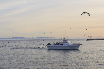 Shore at Santa Barbara, California