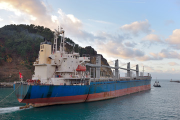dry bulk ship