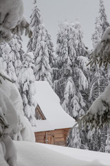 Zasypana śniegiem koliba w górskim lesie - obrazy, fototapety, plakaty
