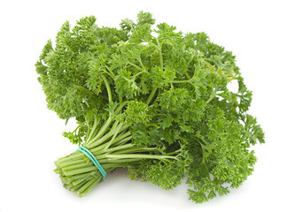 Curly parsley bunch