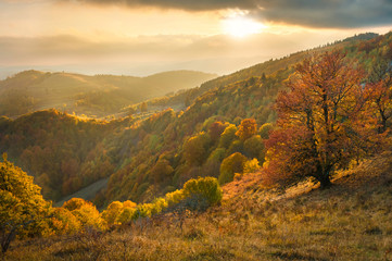 Paysage d& 39 automne au coucher du soleil sur les collines