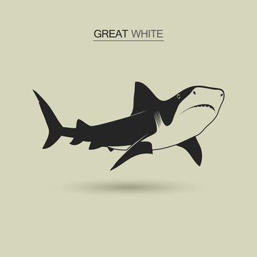 Vector Great white shark