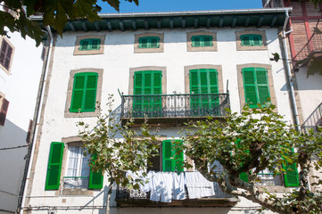 Fototapeta na wymiar House with green windows and trees