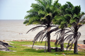 Plage kourou 