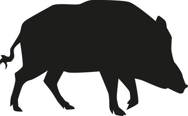 Boar silhouette