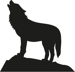 Fototapeta na wymiar Wolf standing and howling