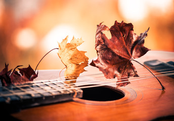 vintage guitar with faded leafs - 94744093