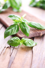 Green fresh basil on wooden background