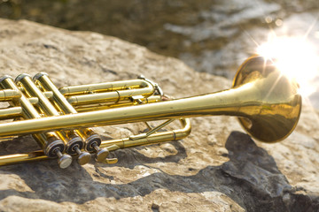 Trumpet Instrument Lake