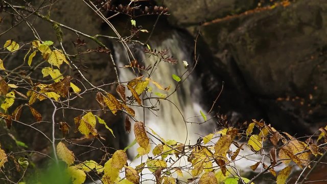Bracklinn falls near Callander, Scotland, HD footage