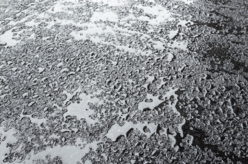 Water drops on wet asphalt, background texture