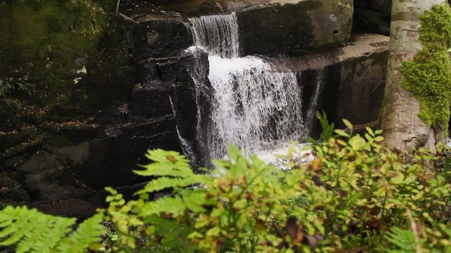 Bracklinn falls near Callander, Scotland, HD footage