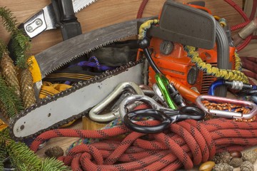 Tools for trimming trees, utility arborists. Chainsaw, rope and carabiners to work lumberjack. Arborist - doctors trees
