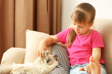Little cute girl with kitten on sofa at home
