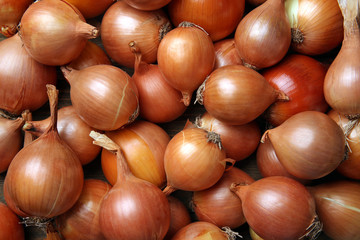 Fresh onions background