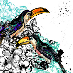 Background with tropical flowers and toucan birds in engraved an © Mary fleur