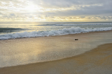 Heart shaped rock Florida beach early morning blue hour sunrise copy space