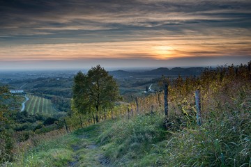 Fototapeta premium colli orientali Friuli Italia