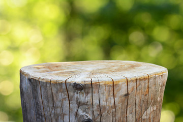 Trunk