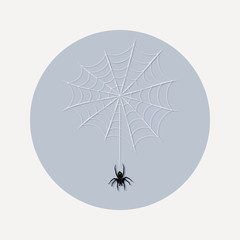 Flat design spider web icon illustration