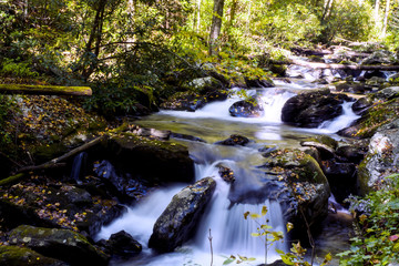 Anna Ruby Falls - Helen, Ga.