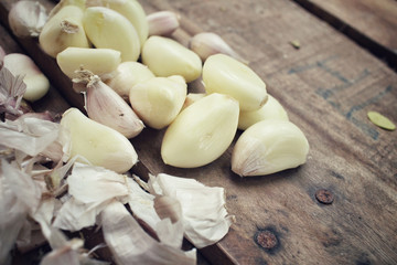 Garlic