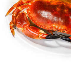 Tasty prepared crab