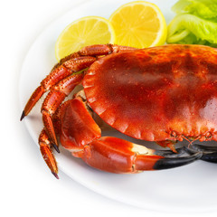Red tasty boiled crab