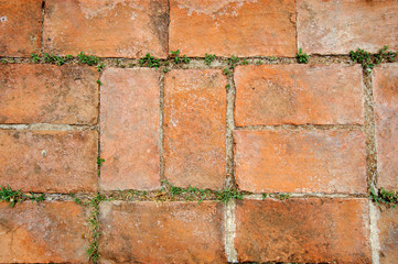 Old Red brick floor