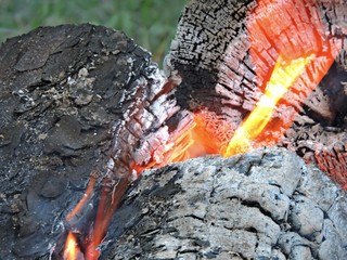 burning wood IV