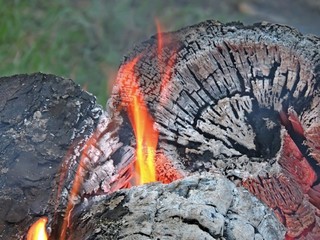 burning wood III