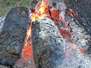 burning wood II