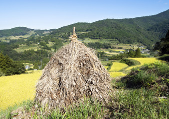枯れ草