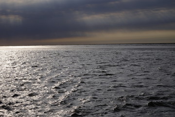 Im Nationalpark Niedersächsisches Wattenmeer vor Borkum, Ostfri