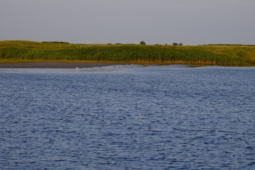 Leybucht bei Greetsiel, Ostfriesland, Niedersachsen, Deutschland